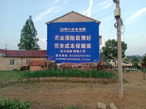 嵩县墙体广告的优劣势你知道吗？